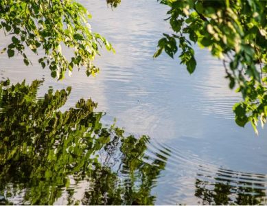 A Calm Space for Reflection Peaceful water scene surrounded by trees, reflecting calm and emotional balance